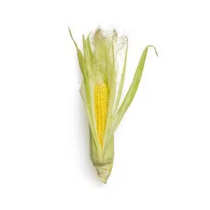 Organic Corn Bio 1